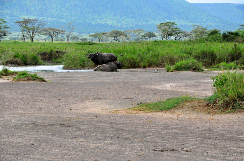 Melanie Heinrich Travel Images Africa